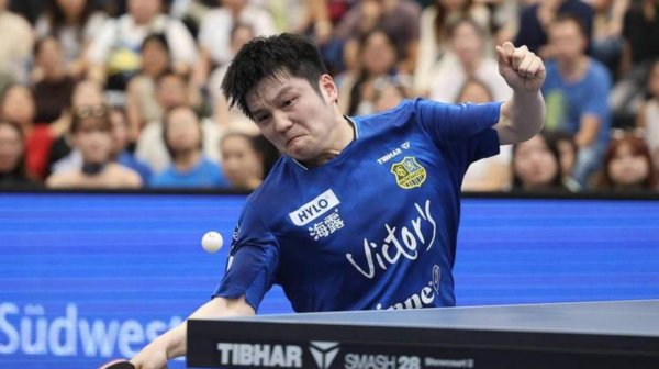 樊振东代表德国萨布吕肯俱乐部主场3比0降服奥克森豪队，展现德甲赛场刚劲实力，亚洲球员成为德甲快速提升要害要素